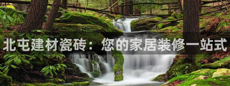 杏鑫平台代理注册多少钱