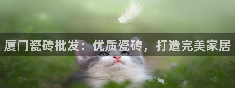 杏鑫平台广7O777