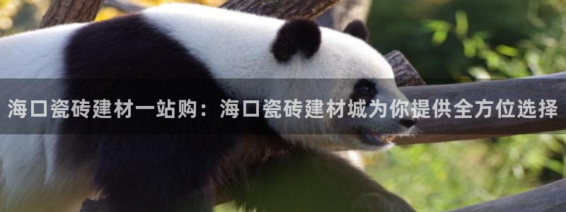 杏鑫娱乐官方网站客户端登录