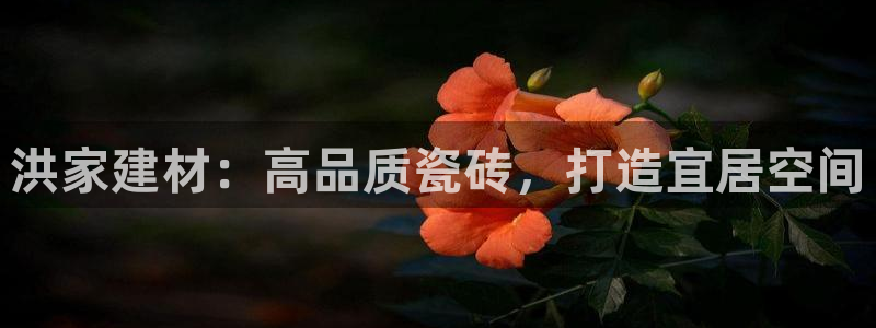 杏鑫娱乐平台测速