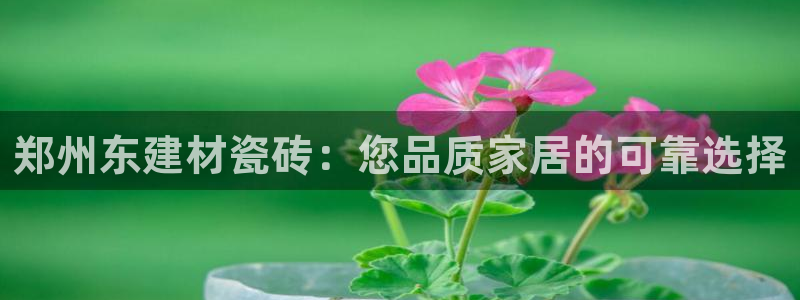 杏鑫娱乐怎么样