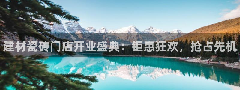 杏鑫平台代理怎么样啊