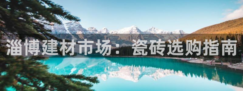 杏鑫娱乐开发团队