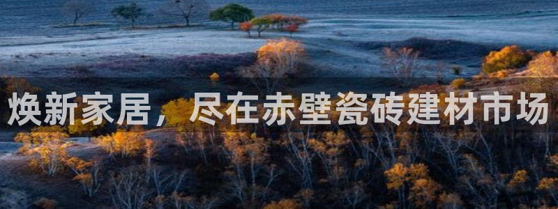 杏鑫3主管