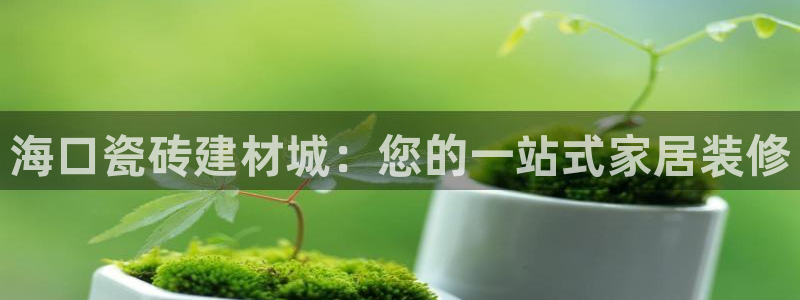 杏鑫平台直属