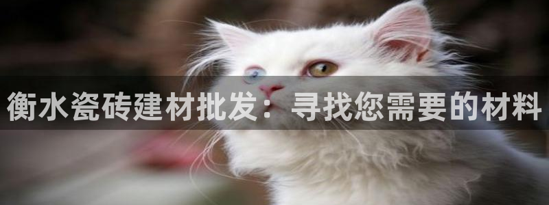 杏鑫平台平台娱乐