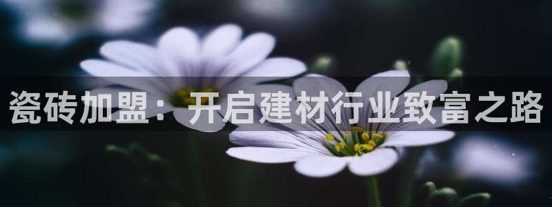杏鑫平台是黑平台吗