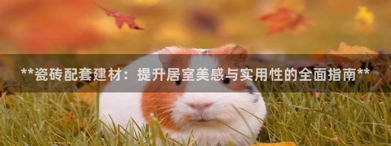 杏鑫平台平台娱乐