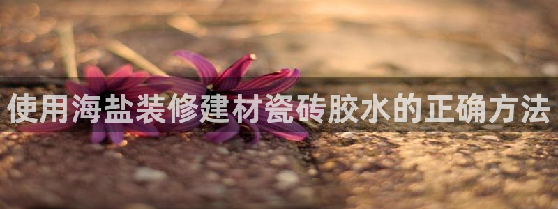 杏鑫平台直属哪个公司
