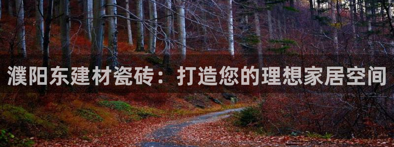 杏鑫官网注册账号