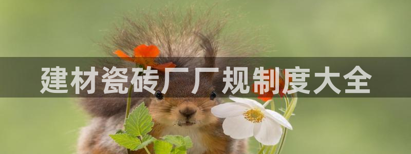 杏鑫平台登录地址