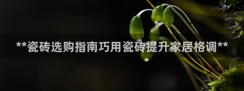 杏鑫平台代理注册多少钱