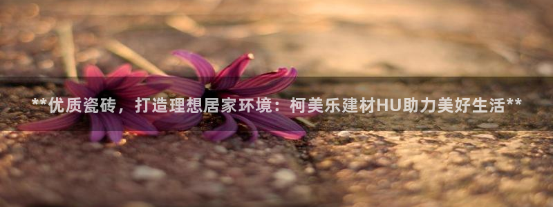 杏鑫平台待遇