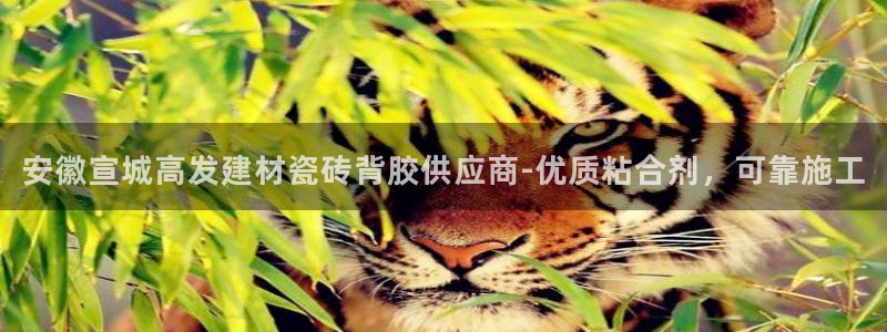 杏鑫平台提供
