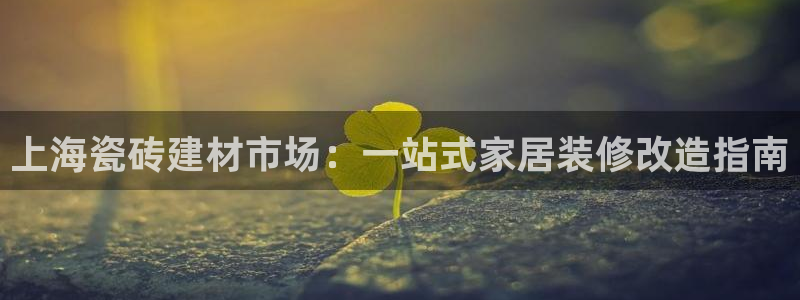 杏鑫娱乐怎么下