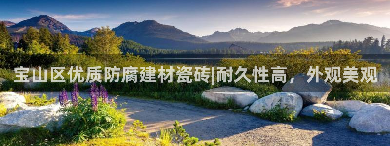 杏鑫平台代理怎么样赚钱