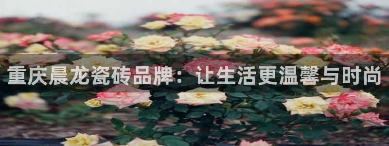 杏鑫平台代理注册多少钱啊