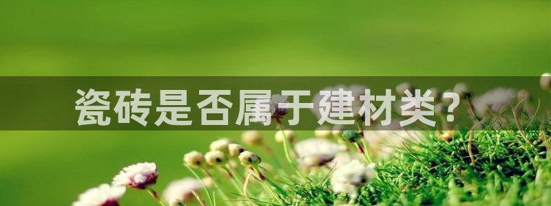 杏鑫平台注册地址是哪里