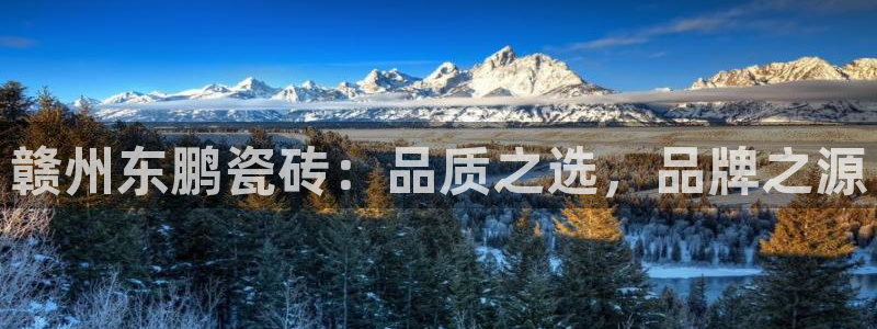 杏鑫平台注册网址查询