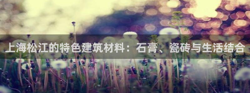 杏鑫官网注册账号怎么注册不了