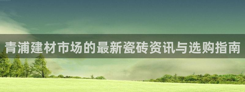杏鑫平台代理怎么样啊