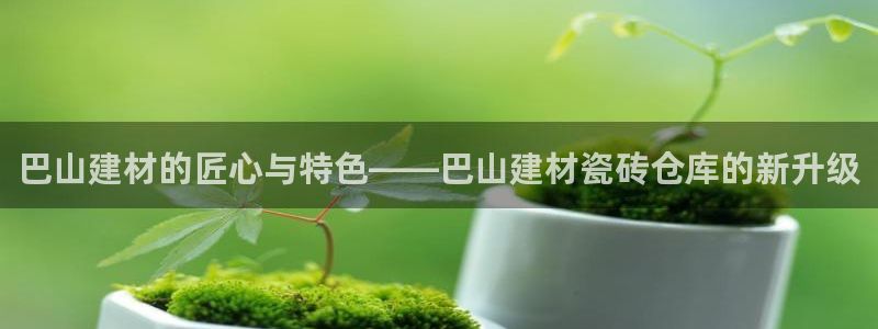 杏鑫平台代理注册流程及费用