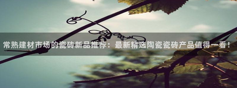 杏鑫官方app代理