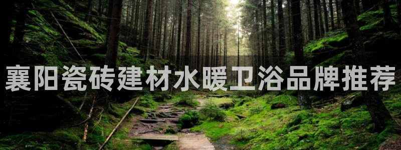 杏鑫平台注册地址在哪里