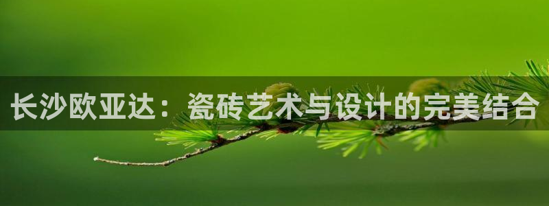杏鑫平台官方网站