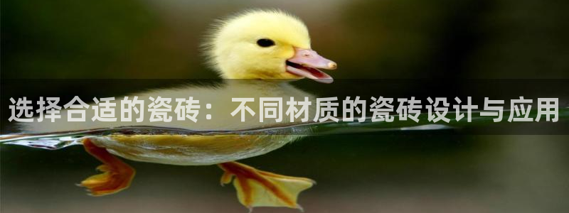 杏鑫平台招商电话号码