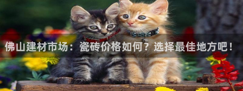 杏鑫娱乐怎么样