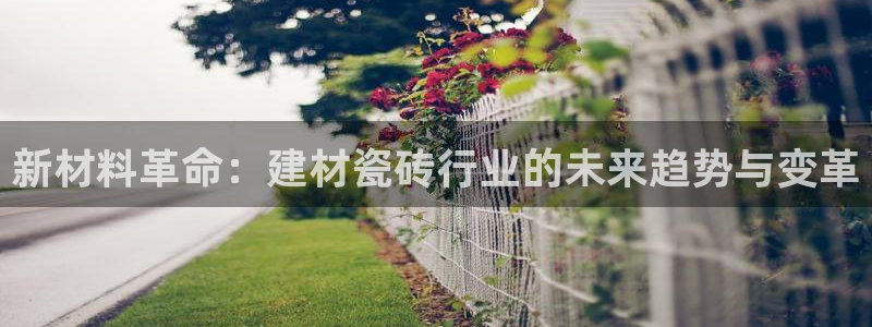 杏鑫平台怎么样黑钱吗是真的吗知乎