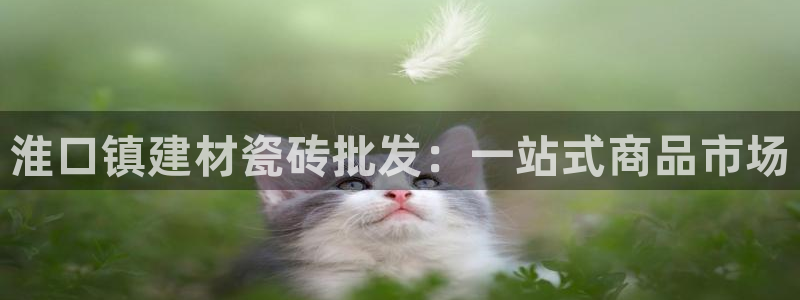 杏鑫官网注册账号是什么意思