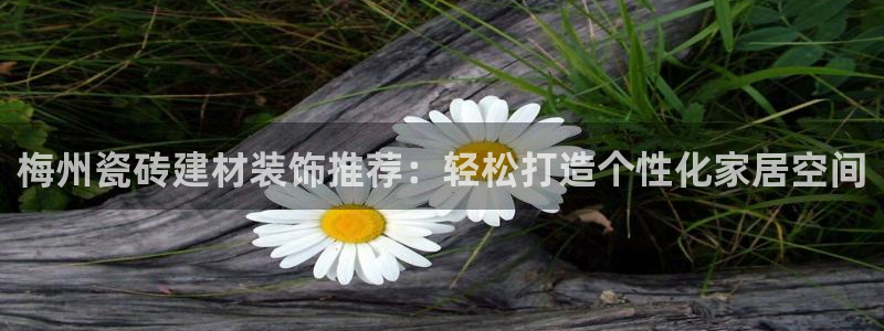 杏鑫手机客户端怎么下载