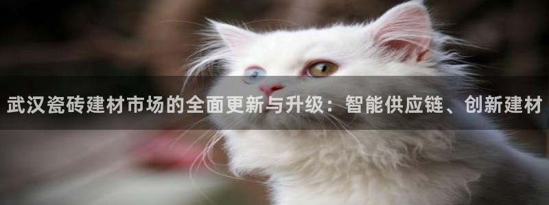 杏鑫平台在线注册