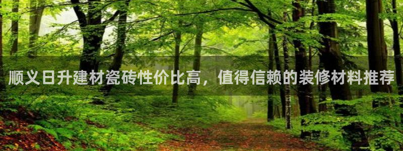 杏鑫平台代理怎么样