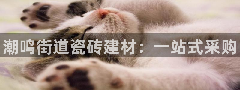 杏鑫平台怎么样黑钱吗知乎