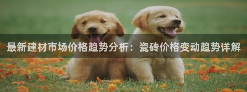 杏鑫平台代理注册流程视频