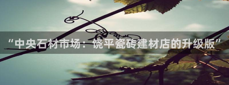 杏鑫平台注册入口在哪