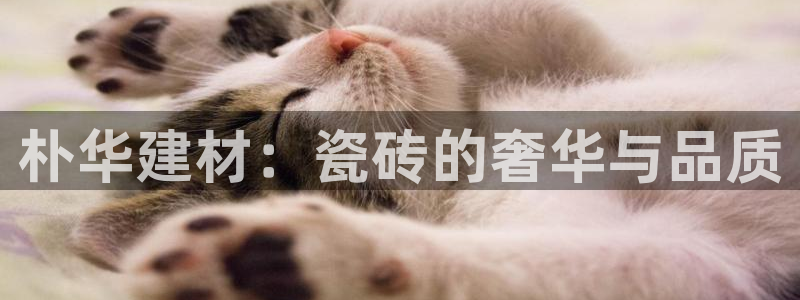 杏鑫平台平台娱乐