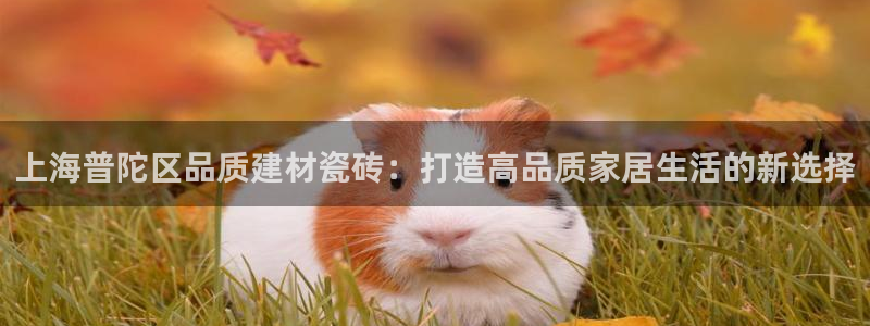 杏鑫平台招商电话号码查询
