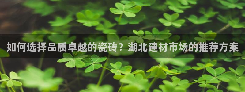 杏鑫有亏损返点吗