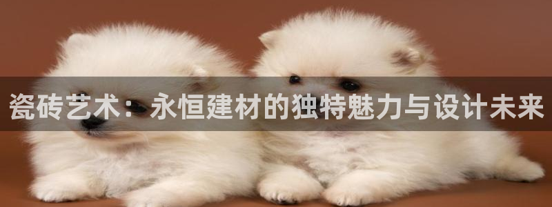 杏鑫有亏损返点吗