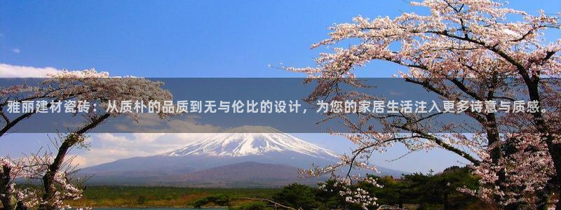 杏鑫平台代理怎么做