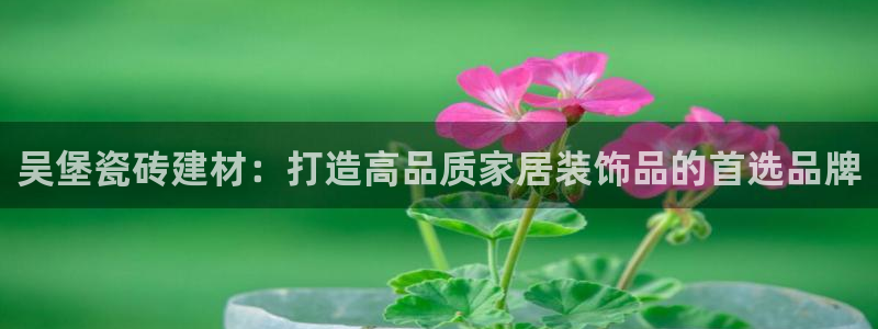 杏鑫平台测速