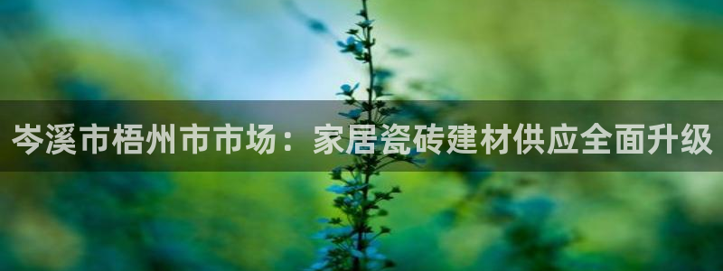 杏鑫平台招商
