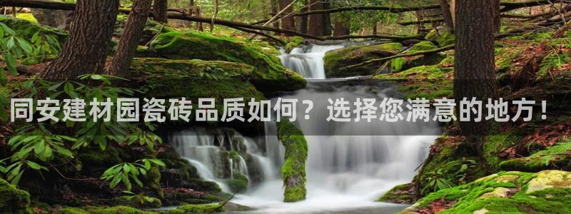 杏鑫平台招商怎么样