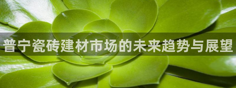 杏鑫平台注册入口