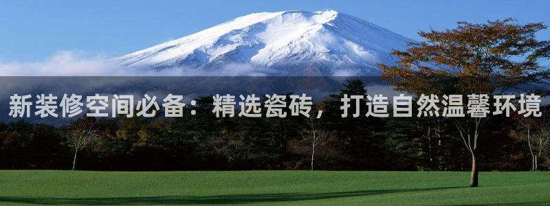 杏鑫平台代理注册多少钱一个