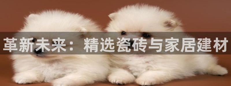 杏鑫娱乐怎么下